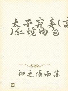 太子宠妾(高肉)红烧肉包