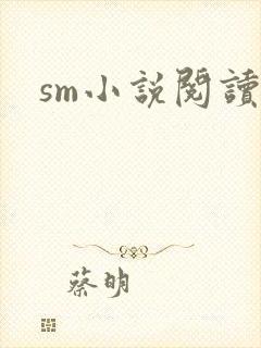 sm小说阅读