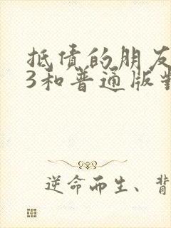 抵债的朋友麦子3和普通版对比