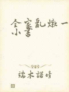 全家乱炖一锅烩小书