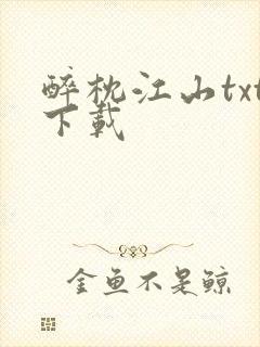 醉枕江山txt下载