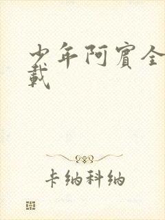 少年阿宾全集下载