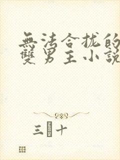 无法合拢的总裁双男主小说