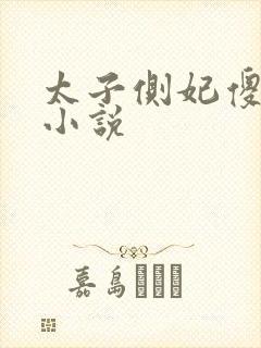 太子侧妃傻乎乎小说