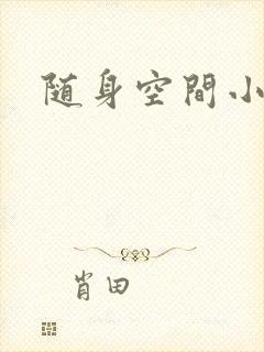 随身空间小说