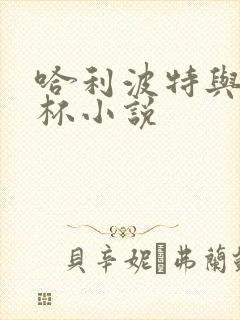 哈利波特与火焰杯小说