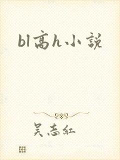 bl高h小说