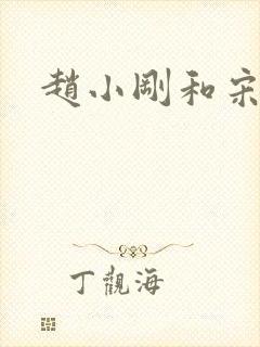 赵小刚和宋雨晴