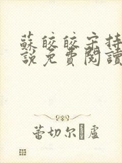 苏皎皎宋持的小说免费阅读