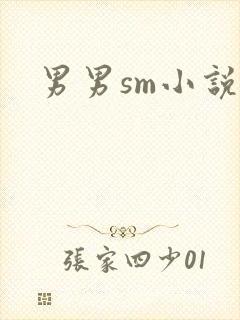 男男sm小说