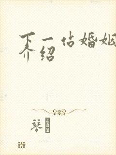 下一站婚姻剧情介绍