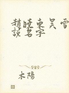 赵晓东吴雪晴小说名字