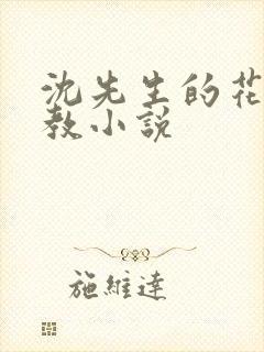 沈先生的花式调教小说