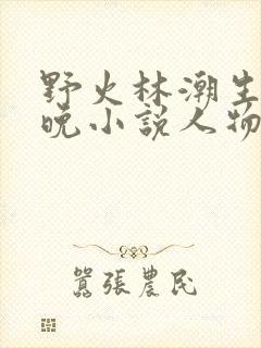 野火林潮生林晚晚小说人物野火