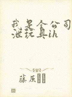 我是全公司的发泄玩具ih