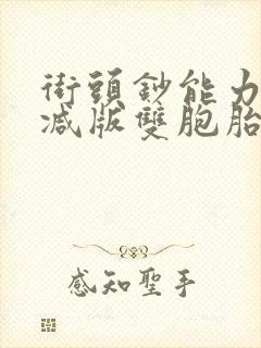 街头钞能力无删减版双胞胎