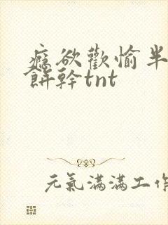 瘾欲欢愉半块小饼干tnt