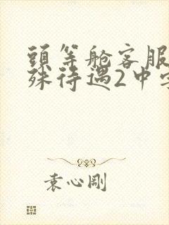 头等舱客服的特殊待遇2中字