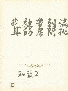 我被带到满是玩具的房间挑调作文