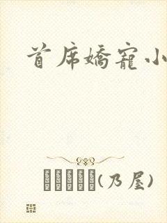 首席娇宠小情人