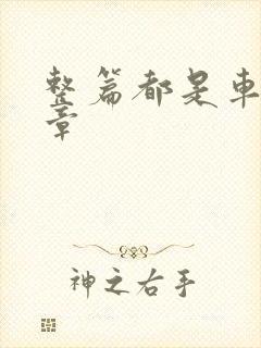 整篇都是车的文章