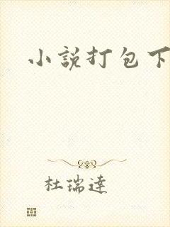 小说打包下载