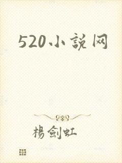 520小说网