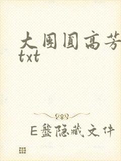 大团圆高芳小说txt