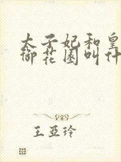 太子妃和皇帝在御花园叫什么小说