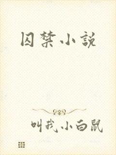 囚禁小说