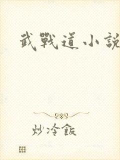 武战道小说