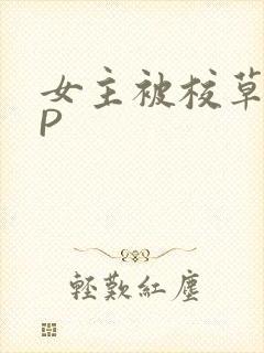 女主被校草们NP