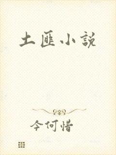 土匪小说