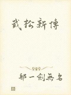 武松新传