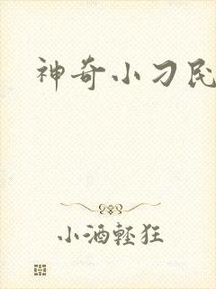神奇小刁民