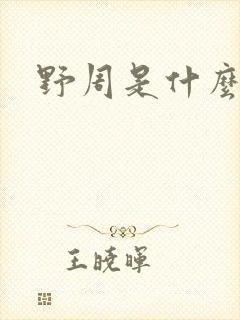 野周是什么意思