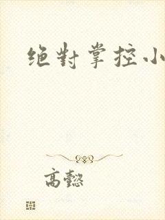 绝对掌控小说