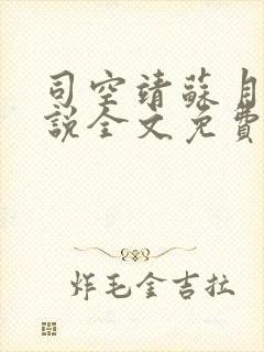 司空靖苏月汐小说全文免费阅读