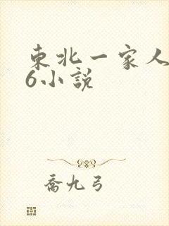 东北一家人1一6小说