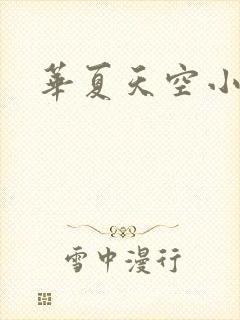 华夏天空小说网