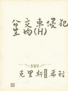 公交车侵犯小男生肉(H)