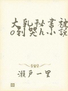 大乳秘书被cao到哭h小说