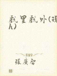 戏里戏外(现场h)