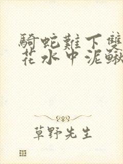 骑蛇难下双金银花水中泥鳅