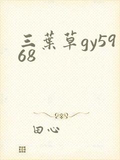 三叶草gy5968