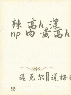 辣 高h 浓 np 肉 黄高h
