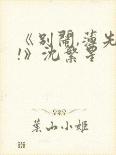 《别闹,薄先生!》沈繁星