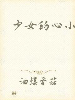 少女的心小说