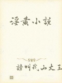 淫黄小说