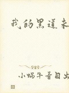 我的黑道未婚夫